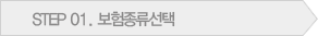 step01.보험종류선택